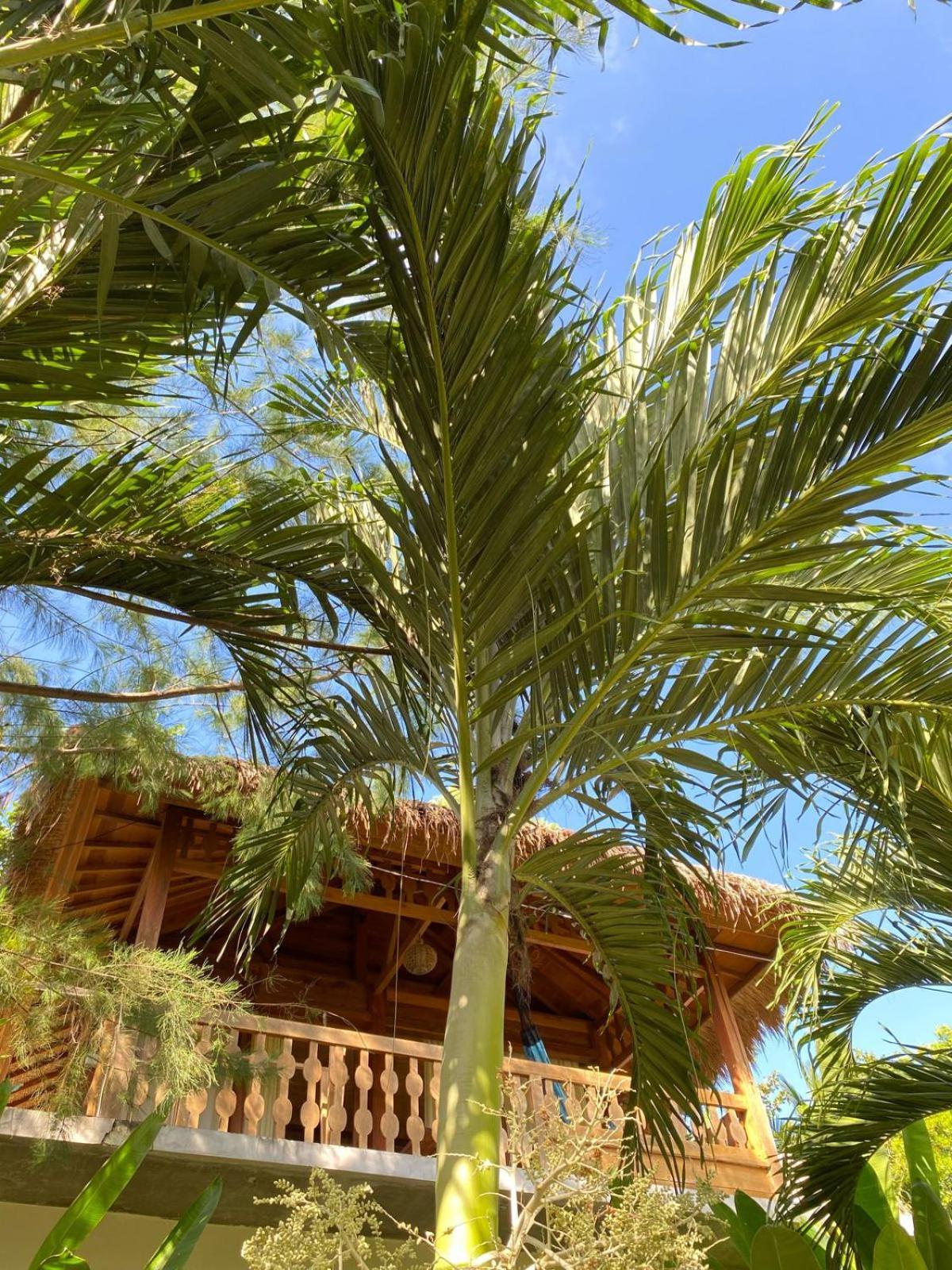 Palm Green Hotel Kuta  Esterno foto